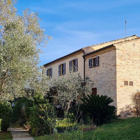 Le Residenze Degli Ulivi Hotel Campofilone Kültér fotó
